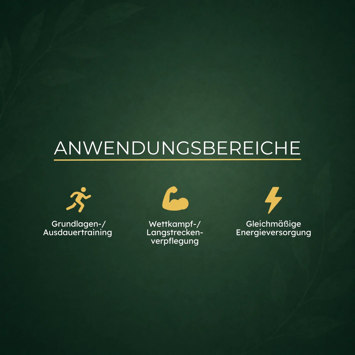 Anwendungsbereiche von Endurance-Fuel