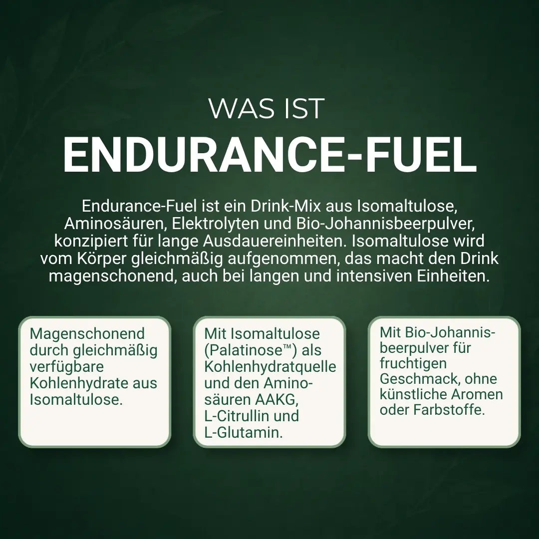 Was ist Endurance-Fuel? Kurzbeschreibung und Eigenschaften